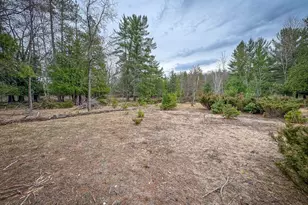 9184 M-37, Wellston, MI 49689 - Photo 86