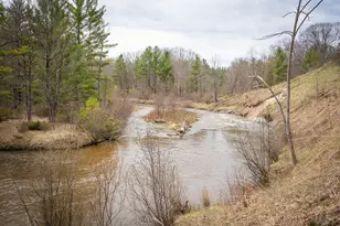 9184 M-37, Wellston, MI 49689 - Photo 54