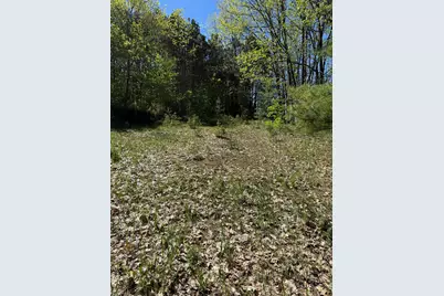 Sadie Lane #Parcel 'D', Bear Lake, MI 49614 - Photo 8
