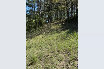 Sadie Lane #Parcel 'D', Bear Lake, MI 49614 - Photo 18