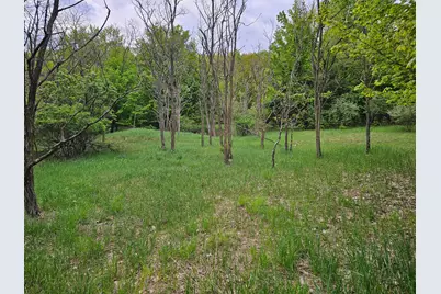 Sadie Lane #Parcel 'D', Bear Lake, MI 49614 - Photo 6
