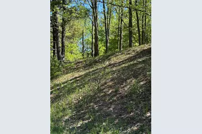 Sadie Lane #Parcel 'D', Bear Lake, MI 49614 - Photo 2