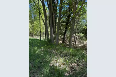 Sadie Lane #Parcel 'D', Bear Lake, MI 49614 - Photo 10