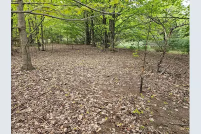 Sadie Lane #Parcel 'D', Bear Lake, MI 49614 - Photo 1