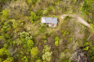 2203 Hickman Rd, Superior Township, MI 48198 - Photo 50