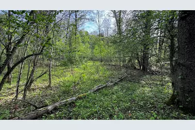 14771 180th Avenue, Stanwood, MI 49346 - Photo 34