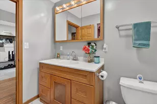 869 Beech St, Lake Odessa, MI 48849 - Photo 26