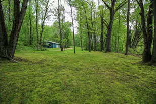 11111 Born St, Three Rivers, MI 49093 - Photo 58