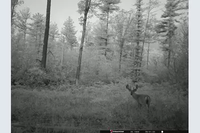 Vl 40 Acre Coates Hwy., Brethren, MI 49619 - Photo 30