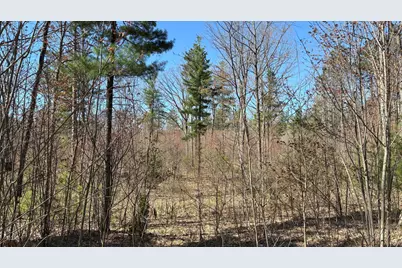 Vl 40 Acre Coates Hwy., Brethren, MI 49619 - Photo 50