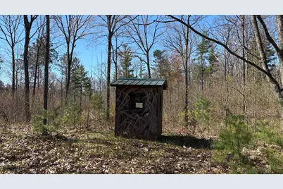 Vl 40 Acre Coates Hwy., Brethren, MI 49619 - Photo 24