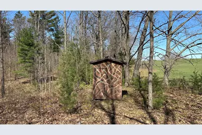 Vl 40 Acre Coates Hwy., Brethren, MI 49619 - Photo 34