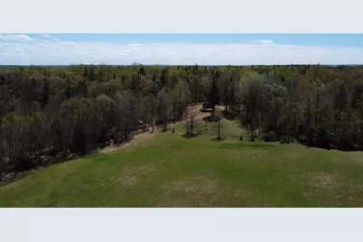 Vl 40 Acre Coates Hwy., Brethren, MI 49619 - Photo 14