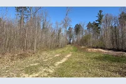 Vl 40 Acre Coates Hwy., Brethren, MI 49619 - Photo 30