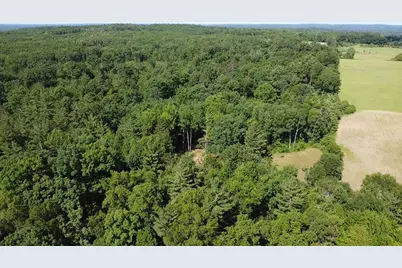 Vl 40 Acre Coates Hwy., Brethren, MI 49619 - Photo 26