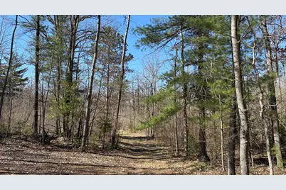 Vl 40 Acre Coates Hwy., Brethren, MI 49619 - Photo 22