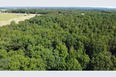 Vl 40 Acre Coates Hwy., Brethren, MI 49619 - Photo 36