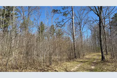 Vl 40 Acre Coates Hwy., Brethren, MI 49619 - Photo 42