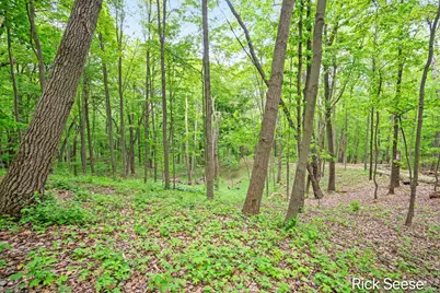 2855 Gulliford Drive SE, Lowell, MI 49331 - Photo 10