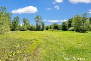 10886 Douglas Dr, Allendale, MI 49401 - Photo 42