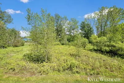 10886 Douglas Drive, Allendale, MI 49401 - Photo 44