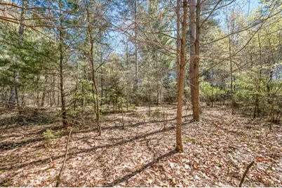 8.5 Acre V/L Three Mile Road #Parcels A-L, Hersey, MI 49639 - Photo 18