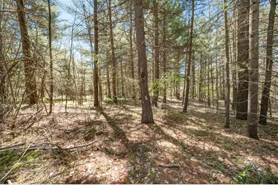 8.5 Acre V/L Three Mile Road #Parcels A-L, Hersey, MI 49639 - Photo 6