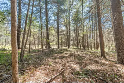 8.5 Acre V/L Three Mile Road #Parcels A-L, Hersey, MI 49639 - Photo 8