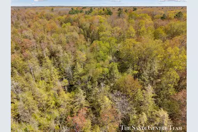 Orshal Road, Whitehall, MI 49461 - Photo 8