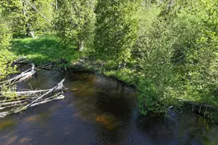 V/L E Pomeroy Springs Rd, Irons, MI 49644 - Photo 1