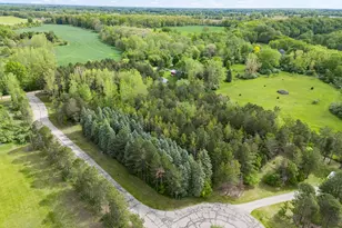 15105 Eagle Ridge Rd, Eagle, MI 48822 - Photo 48