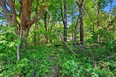 V/L 56th Street, Bangor, MI 49013 - Photo 6