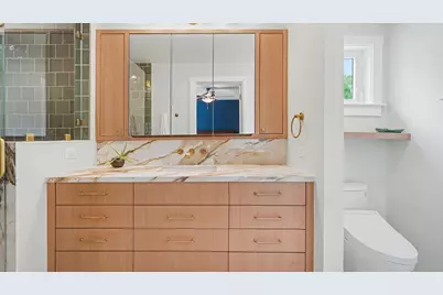 315 Koch Avenue, Ann Arbor, MI 48103 - Photo 30