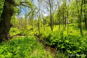415 N State Rd, Belding, MI 48809 - Photo 48