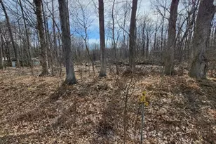 16351 Red Arrow Hwy, Union Pier, MI 49129 - Photo 16