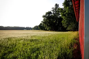 11758 Monroe Rd, Morley, MI 49336 - Photo 22