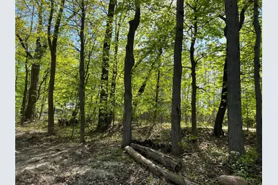Lot 6 Fogeson Drive, Coral, MI 49322 - Photo 10