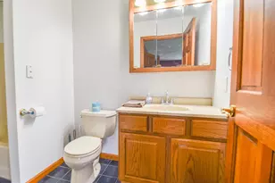 356 Jonesville Rd, Coldwater, MI 49036 - Photo 24