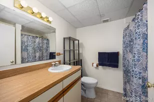 17225 Apache Trail, Howard City, MI 49329 - Photo 12