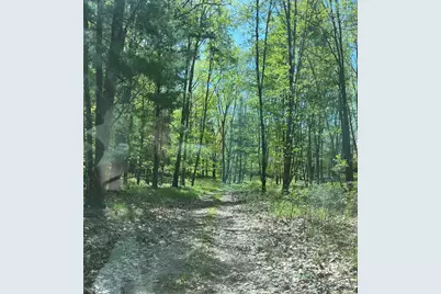 3685 Cypress Road, Blanchard, MI 49310 - Photo 2
