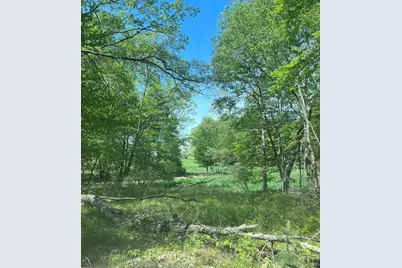 3685 Cypress Road, Blanchard, MI 49310 - Photo 2