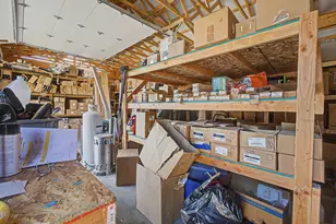 213 Palmer St, Rives Junction, MI 49277 - Photo 60