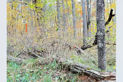 7.32Ac E 58th Street, Newaygo, MI 49337 - Photo 2