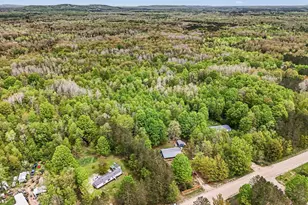 14790 Woods Trail, Thompsonville, MI 49683 - Photo 8