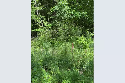 Wildwood Road, Shelbyville, MI 49344 - Photo 6