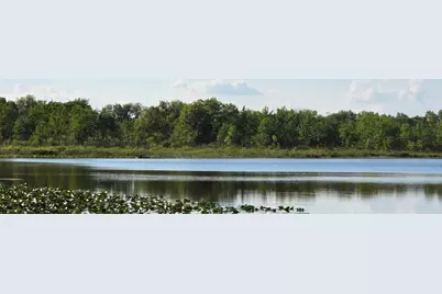 N Drive S, Burlington, MI 49029 - Photo 2