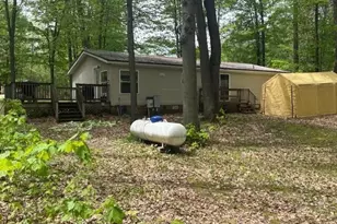 18412 Royena Dr, Marion, MI 49665 - Photo 16