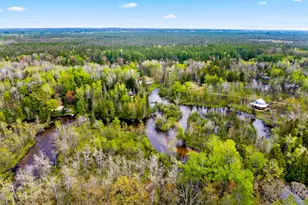 7977 Mershon Trail, Grayling, MI 49738 - Photo 38