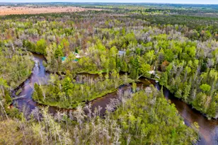 7977 Mershon Trail, Grayling, MI 49738 - Photo 4