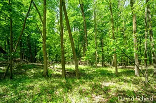 10225 River Shore Dr, Caledonia, MI 49316 - Photo 58